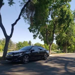 Meet your Posher, Tommy